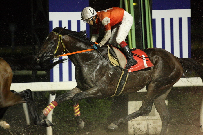 2009年7月26日（日） 高知競馬 9R 納涼特別 B1 選抜馬_a0077663_2244547.jpg