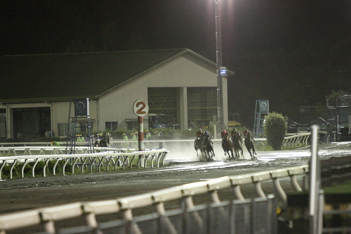 2009年7月26日（日） 高知競馬 9R 納涼特別 B1 選抜馬_a0077663_2245142.jpg