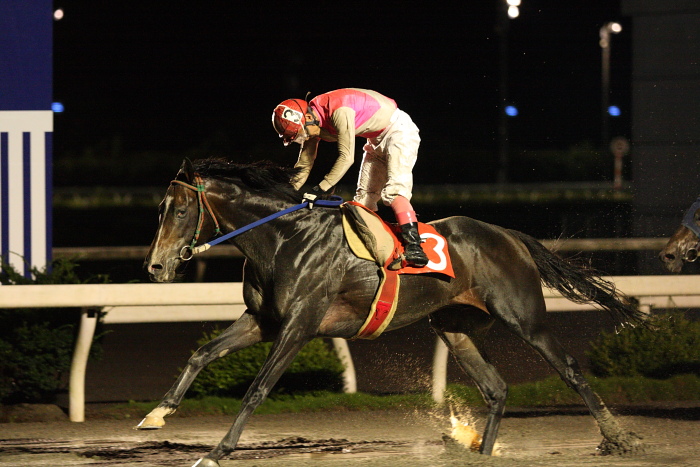 2009年7月26日（日） 高知競馬 9R 納涼特別 B1 選抜馬_a0077663_22452710.jpg
