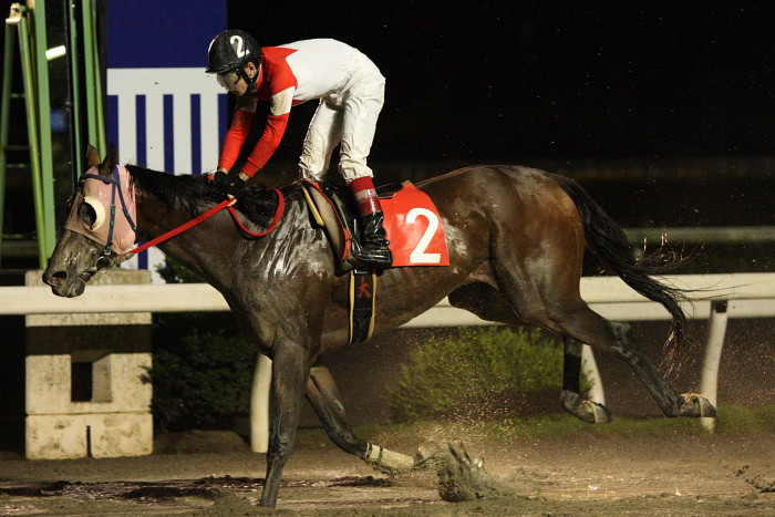 2009年7月26日（日） 高知競馬 9R 納涼特別 B1 選抜馬_a0077663_22453658.jpg