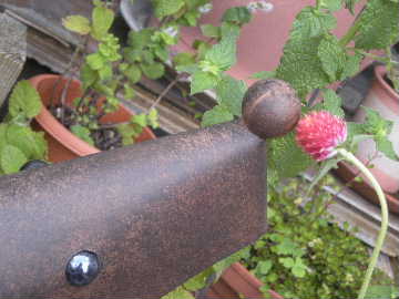 e0086864_2040396.jpg