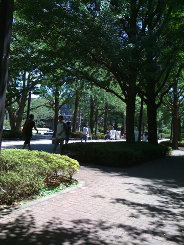 c0083665_16161451.jpg
