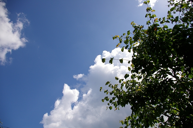 a0135366_14512994.jpg