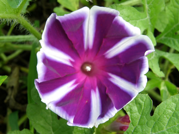 c0139168_804494.jpg