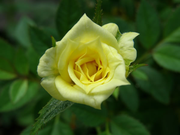 c0139168_823422.jpg