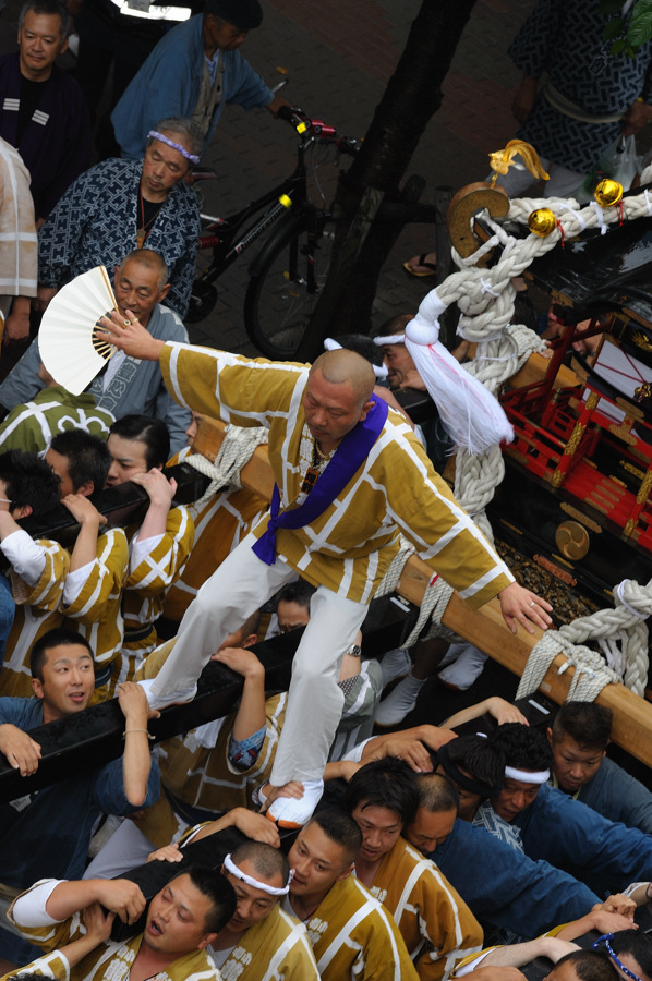 祭りだ！神輿だ！そして祭りの華_f0075373_1434720.jpg