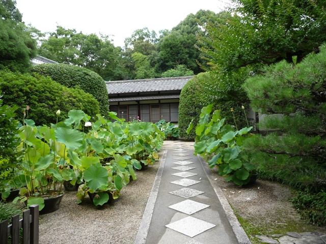 d0042474_1813610.jpg