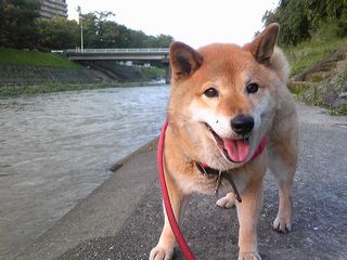 e0012580_2255364.jpg