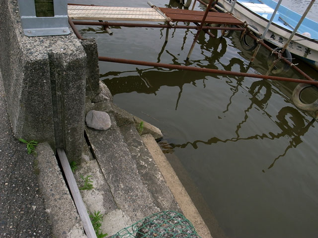e0082981_22583916.jpg