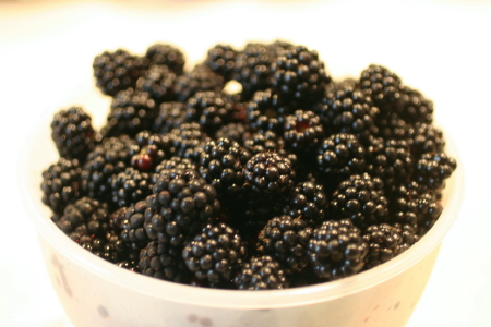 e0154682_2258121.jpg