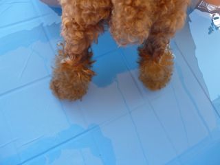 プチバカンス。。しながらクリック仕事_b0098584_16511660.jpg