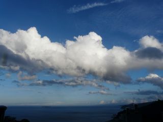 2009年7月26日 蝉の声が。。。_b0098584_926034.jpg
