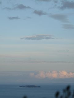 2009年7月26日 蝉の声が。。。_b0098584_9261462.jpg