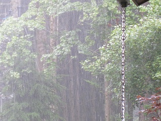 晴れのち雨のち晴れ…あっ、また雨…。_d0133485_1557752.jpg