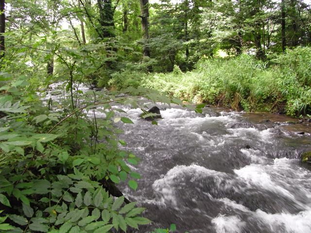 a0125694_221732.jpg
