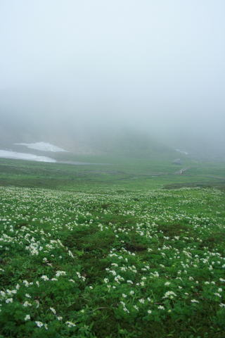 飛騨高山 上高地へ_a0136507_20374245.jpg