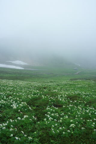 飛騨高山　上高地へ_a0136507_20374245.jpg