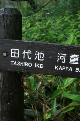 飛騨高山 上高地へ_a0136507_20394675.jpg