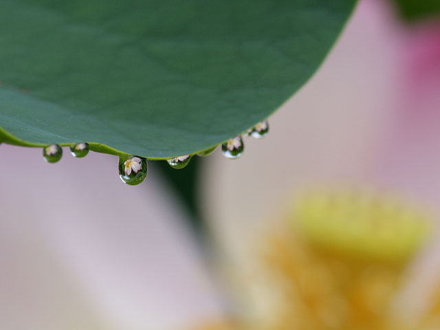 雨の中で・・・_b0086508_2141353.jpg