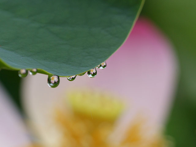 雨の中で・・・_b0086508_2142597.jpg