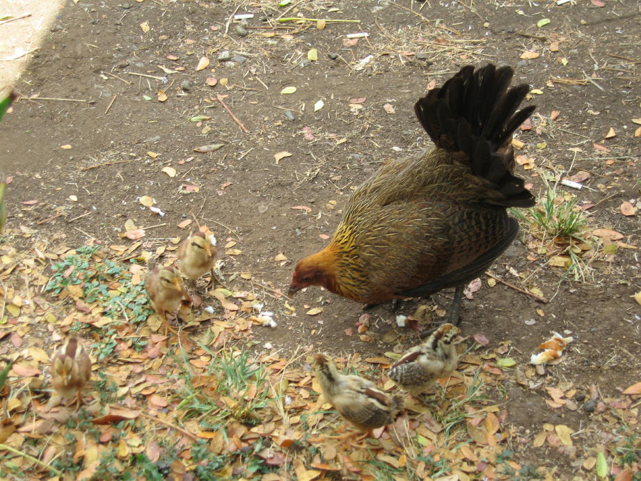 c0180009_13221886.jpg