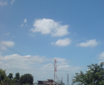 c0149013_079100.jpg