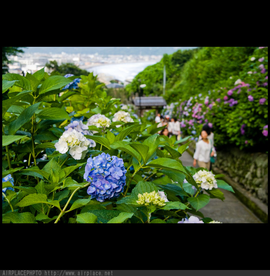 f0086721_6235170.jpg