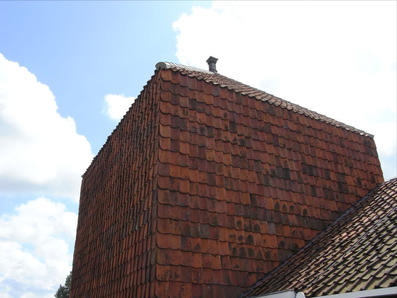 b0171423_193823100.jpg