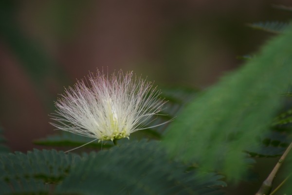 f0170524_12125367.jpg