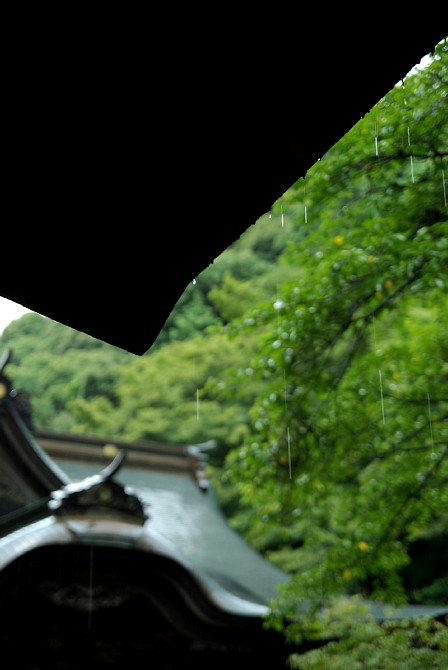 2009-7-27　雨の内々神社と妙見寺にて_c0136330_1753499.jpg