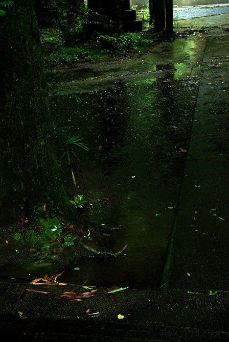 2009-7-27　雨の内々神社と妙見寺にて_c0136330_17555181.jpg
