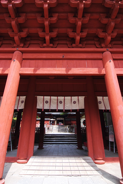 e0168232_200205.jpg