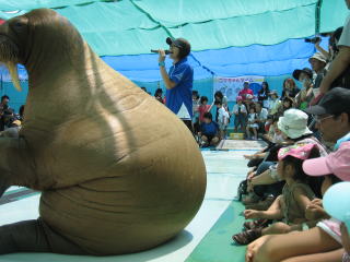 c0113733_23144174.jpg