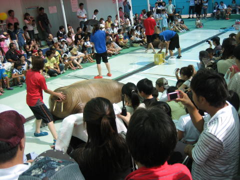 c0113733_23272549.jpg