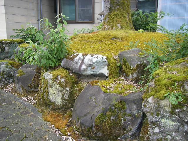 e0146841_22534243.jpg