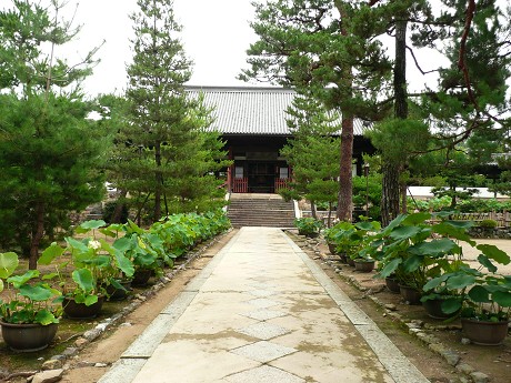 京の蓮華めぐり(4)－萬福寺_c0057946_22322293.jpg