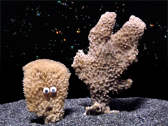e0005548_23244890.gif