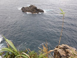 d0048350_20144544.jpg