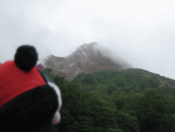 b0159557_19029100.gif