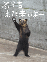b0159557_1917727.gif