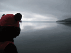 b0159557_19194692.gif