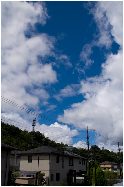 f0147858_12455576.jpg