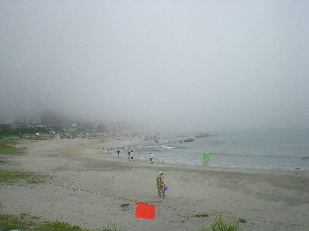 2009年7月27日(月)勝浦の朝市!_f0060461_10101768.jpg