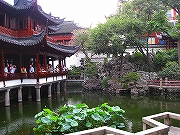 b0139968_21771.jpg