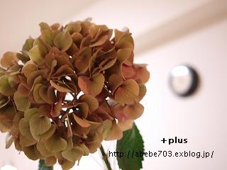 c0148270_0101327.jpg