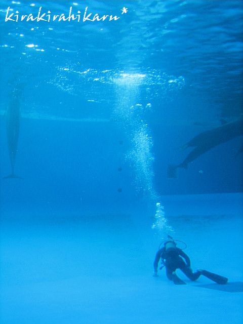 e0173670_2317692.jpg