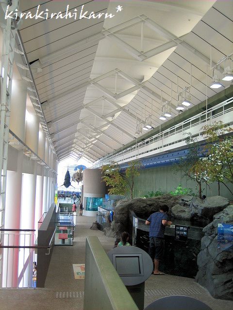 e0173670_23363012.jpg