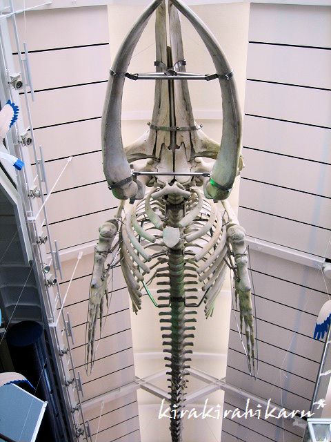 e0173670_2375133.jpg