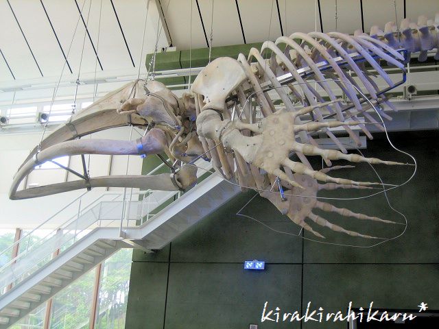 e0173670_2394980.jpg
