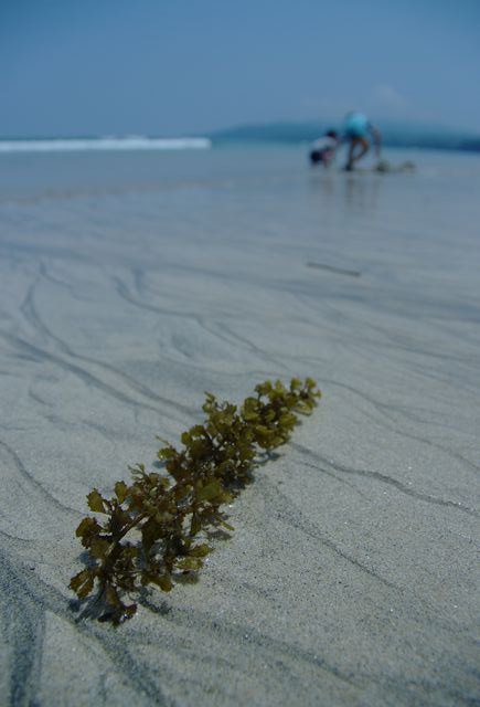 あの日の海へ②_e0152576_20201973.jpg